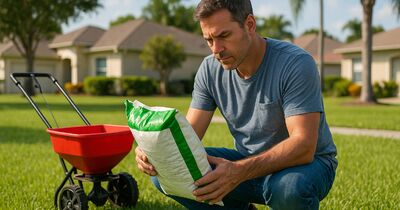 Reading a fertilizer bag: what the three NPK numbers really mean