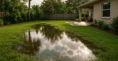 Standing water after a Florida downpour? How to fix lawn drainage